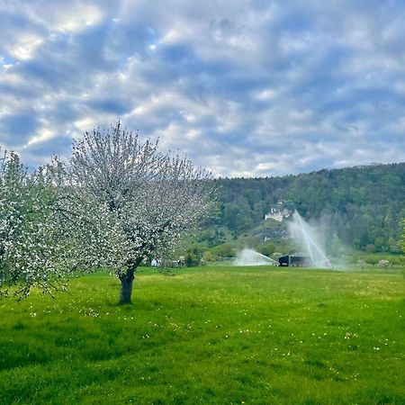 Bohming Roemercastell Wirtshaus & Hotel מראה חיצוני תמונה