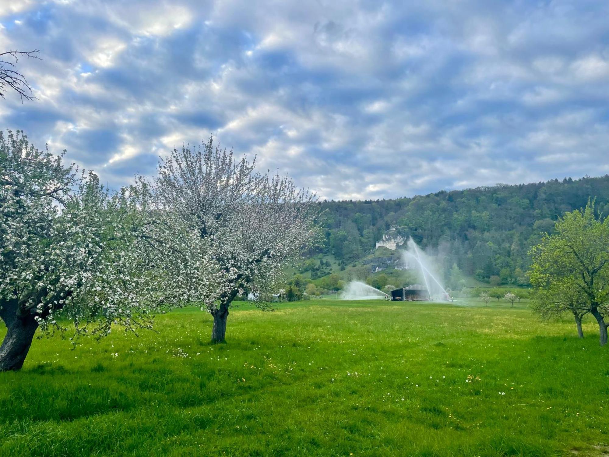 Bohming Roemercastell Wirtshaus & Hotel מראה חיצוני תמונה